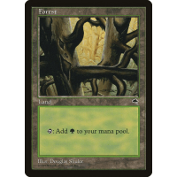 Forest D - Tempest Thumb Nail