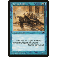 Horned Turtle - Tempest Thumb Nail