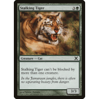 Stalking Tiger - Tenth Edition Thumb Nail