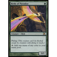 Birds of Paradise - Tenth Edition Thumb Nail