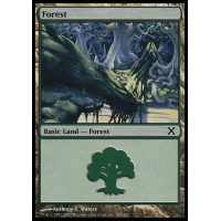 Forest A - Tenth Edition Thumb Nail