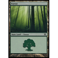 Forest B - Tenth Edition Thumb Nail