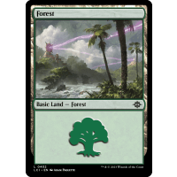 Forest - The Lost Caverns of Ixalan Thumb Nail