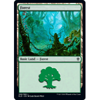 Forest - Throne of Eldraine Thumb Nail