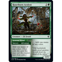 Rosethorn Acolyte - Throne of Eldraine Thumb Nail