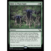 Hide in Plain Sight - Universal Promo Pack Thumb Nail