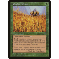 Elephant Grass - Visions Thumb Nail