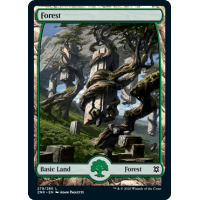 Forest - Zendikar Rising Thumb Nail