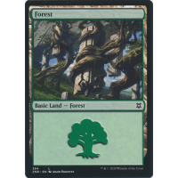 Forest - Zendikar Rising Thumb Nail