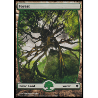 Forest D - Zendikar Thumb Nail