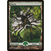 Forest D - Zendikar Thumb Nail