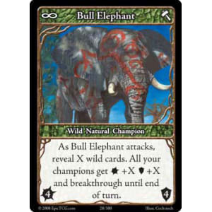 Bull Elephant