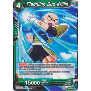 Fledgling Duo Krillin