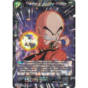 Training Buddy Krillin