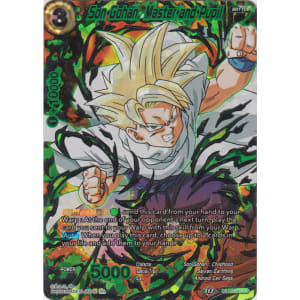 Son Gohan, Master and Pupil