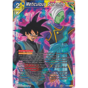 Meticulous Scheming
