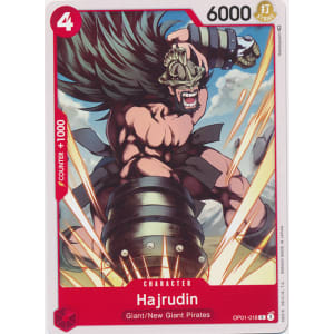 Hajrudin (018)