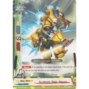 Accelerate Ninja, Hayate