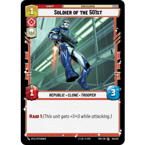 Soldier of the 501st