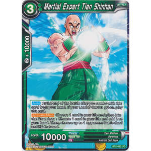 Martial Expert Tien Shinhan