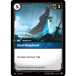 Soul Shepherd