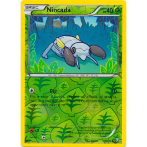 Nincada - 10/124 (Reverse Foil)