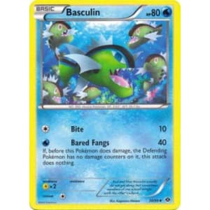 Basculin - 30/99