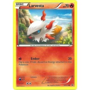 Larvesta - 19/101