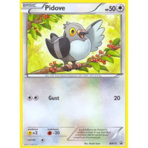 Pidove - BW15