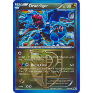 Druddigon - BW80