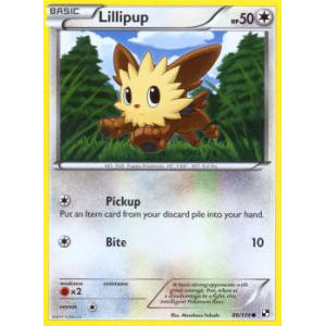 Lillipup - 80/114