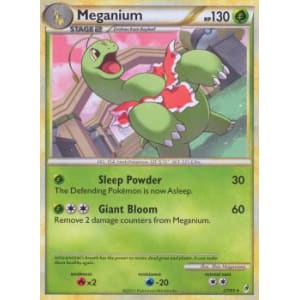 Meganium - 27/95