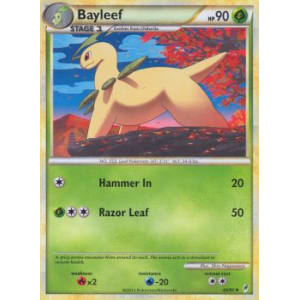 Bayleef - 40/95