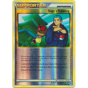 Sage's Training - 85/95 (Reverse Foil)