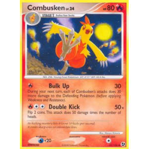 Combusken - 35/106