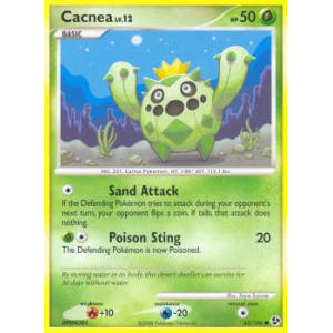 Cacnea - 62/106
