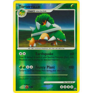 Torterra - 30/100 (Reverse Foil)