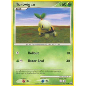 Turtwig - 77/100