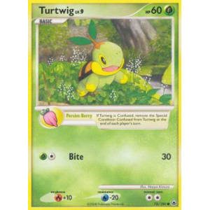 Turtwig - 78/100