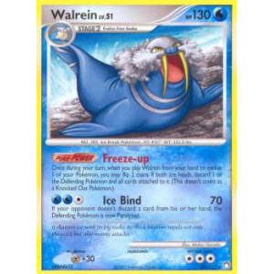 Walrein - 39/123