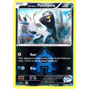 Team Aqua's Poochyena - 16/34 (Reverse Foil)