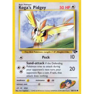 Koga's Pidgey - 80/132