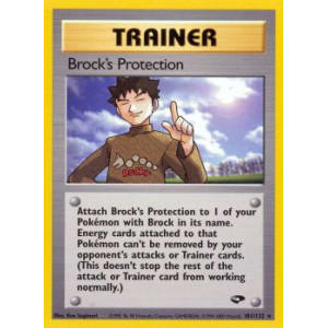 Brock's Protection - 101/132