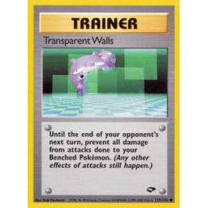 Transparent Walls - 125/132