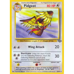 Pidgeot - 24/64