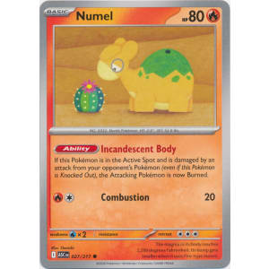 Numel - 027/217