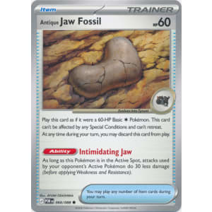 Antique Jaw Fossil - 068/088