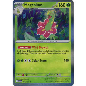 Meganium - 010/132