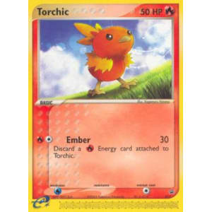 Torchic - 017