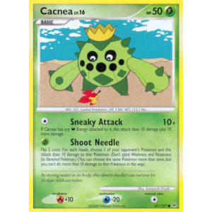 Cacnea - 67/127